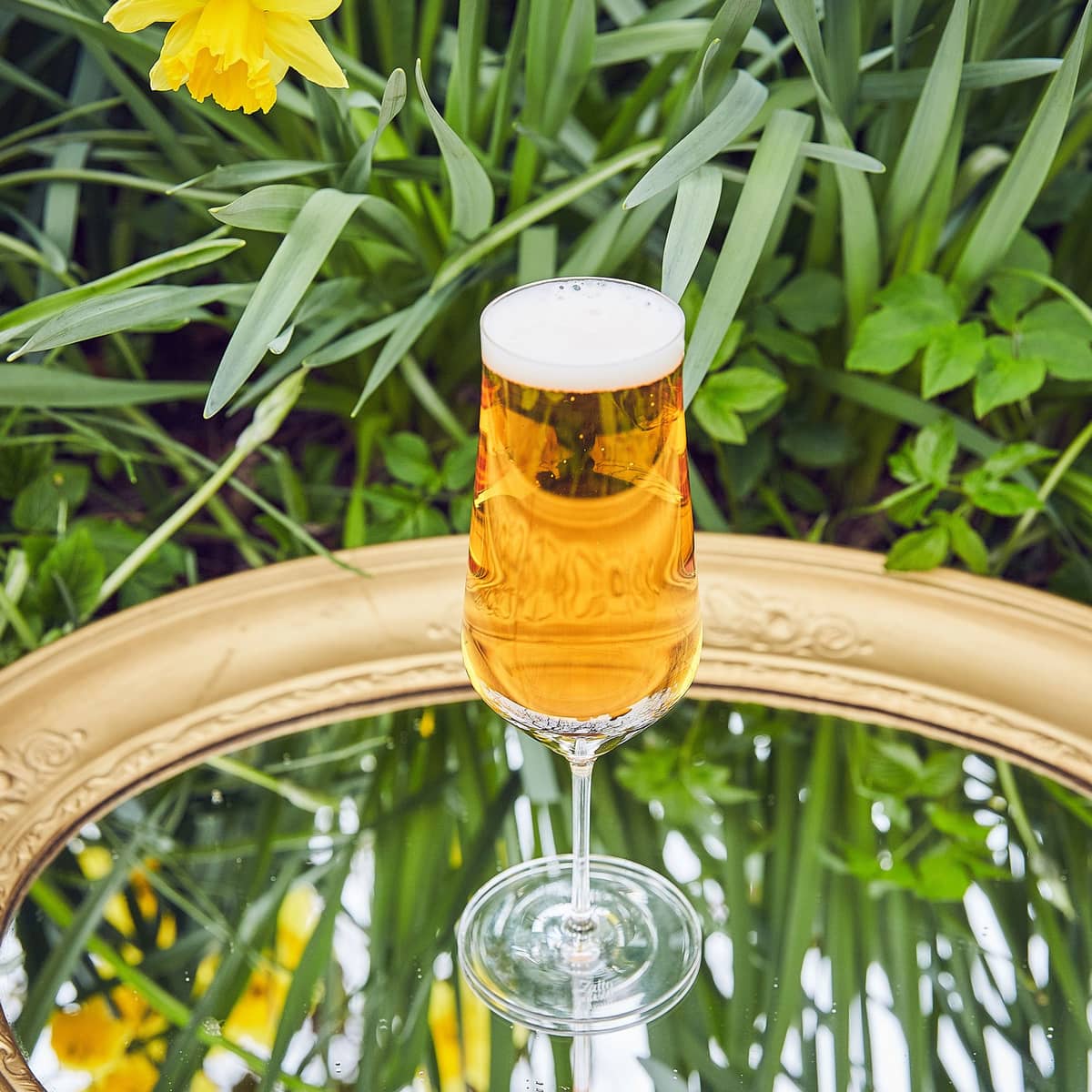 Ølglas 350 ml. 6 stk.