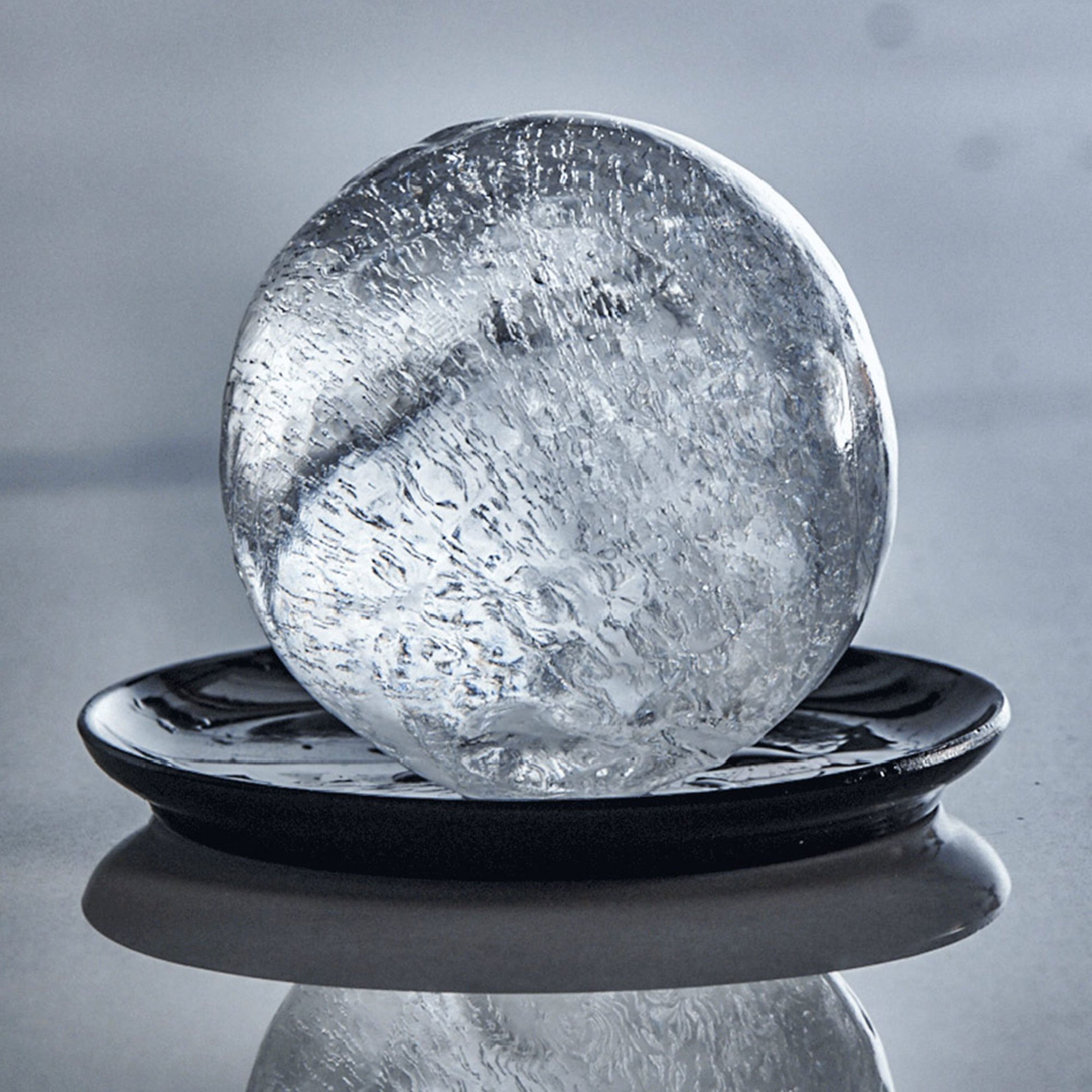 lurch-lu240730-64359-5