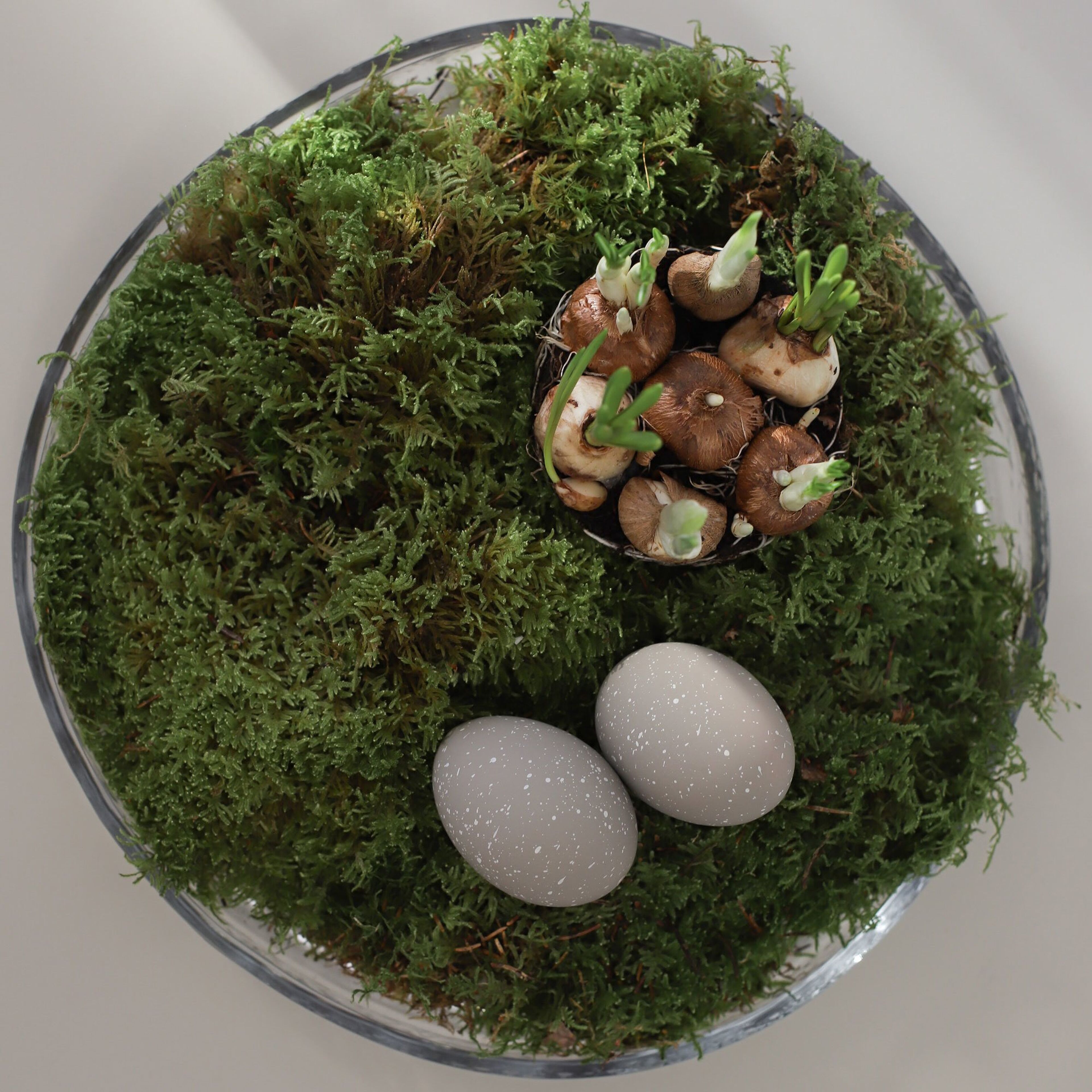 cooee-design-hi-060-03-wh-67465-3