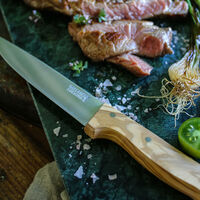 Pöytäveitsi, ruostumaton teräs/oliivipuu, 4 kpl