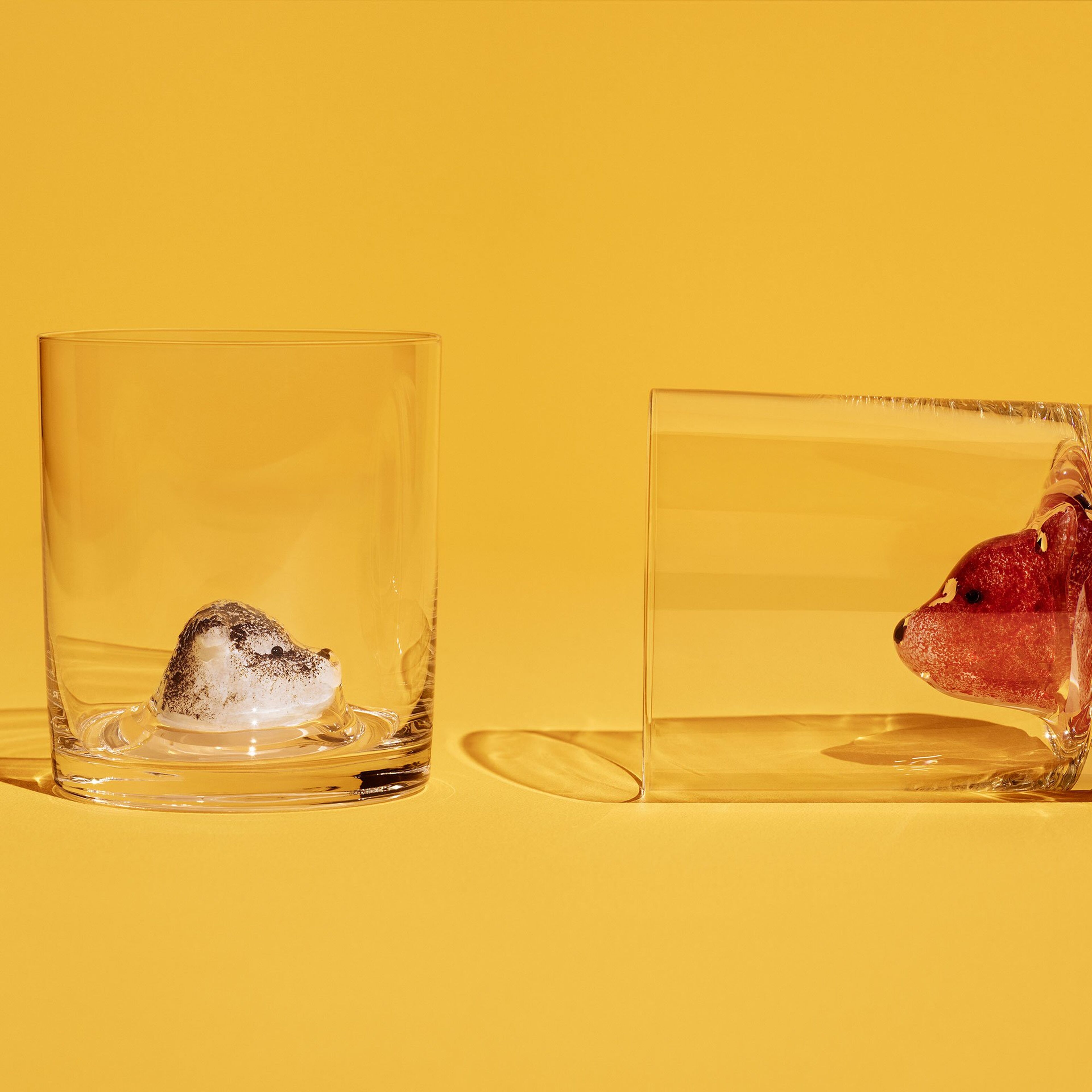 new-friends-glas-polarraev-7091952-43689-3