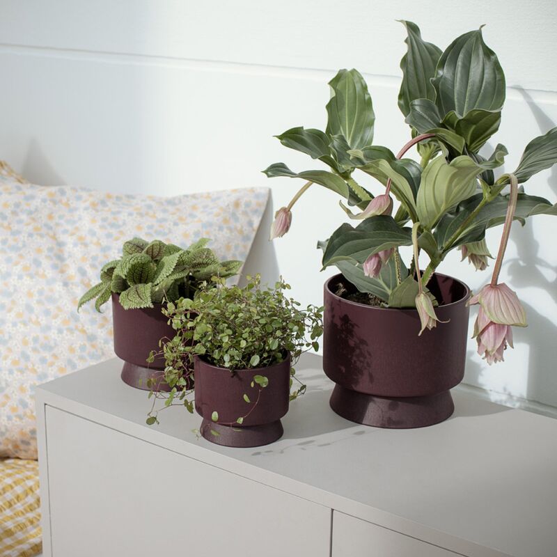 Blomsterpotte 15 cm, bordeaux