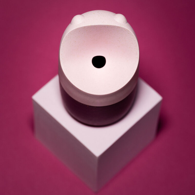 Konna kärpäsloukku, garden rose