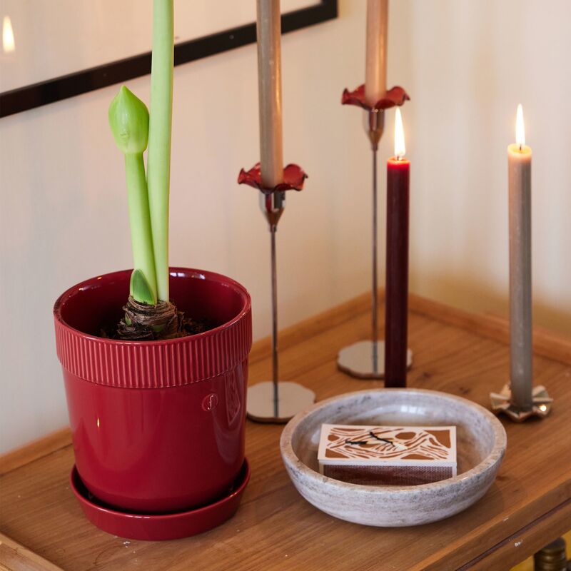 Elise kruka med fat, 17 cm