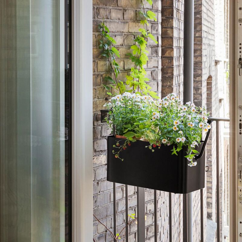 Simply Grow Altankasse