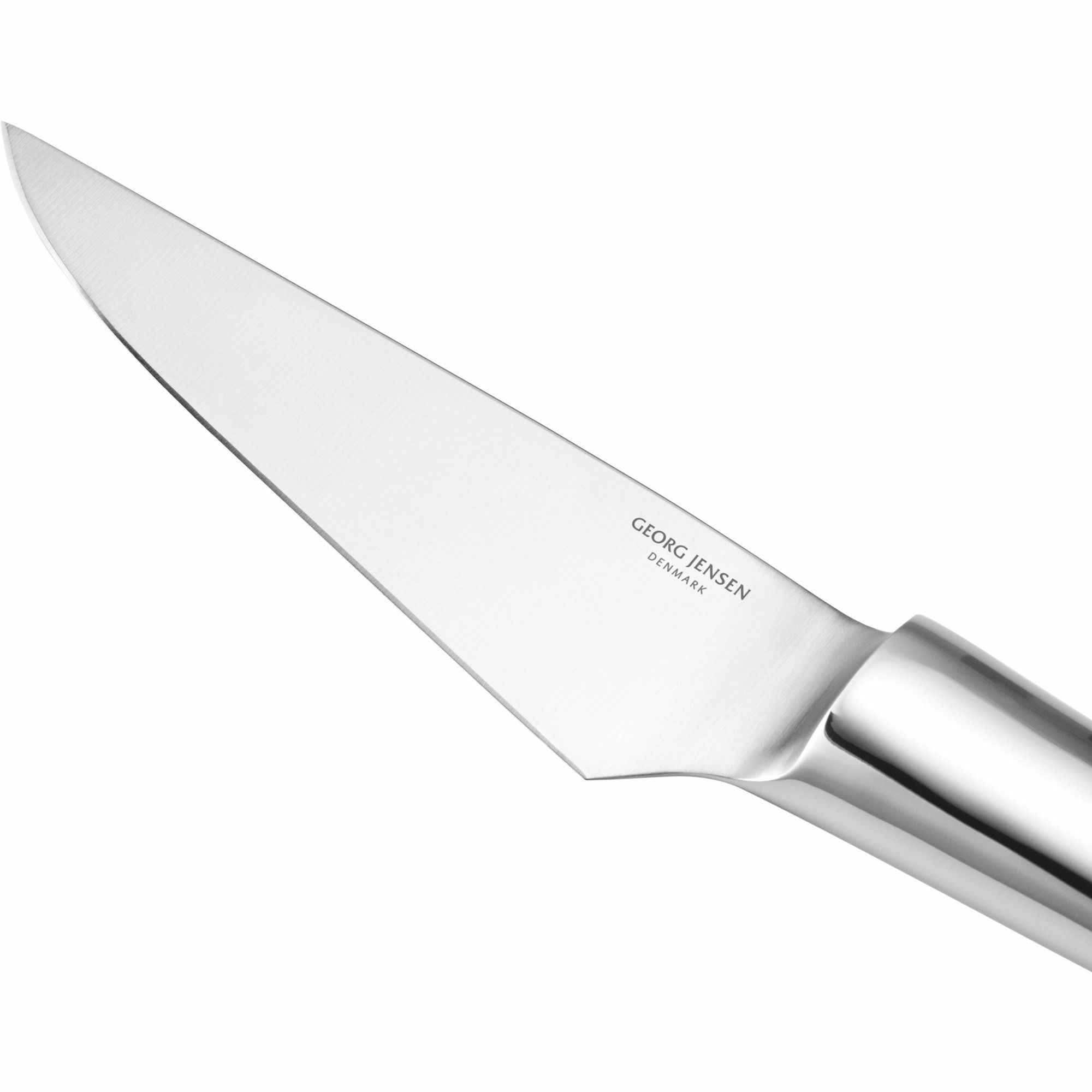 Alternativ bild 1 för Georg Jensen Sky örtkniv