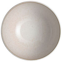 Kiln Coral Ramenskål large