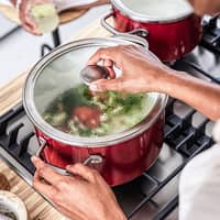Cookware Collection -kattila, kannellinen, 20 cm, punainen