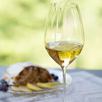 Performance Riesling -paketti, 2 kpl