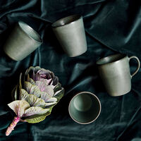 mugg 6 st Northern Green