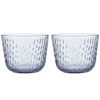 Syksy tumblerglas 2 dl, 2 stk.