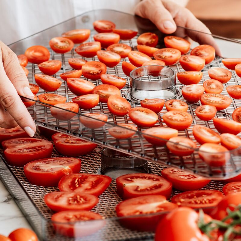 Dehydrator tørreovn 5 lag