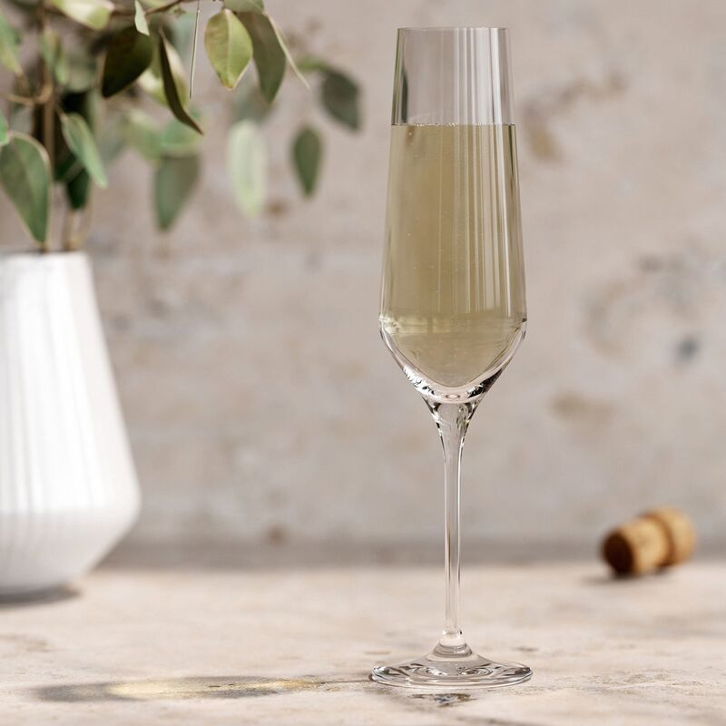 Samppanjalasi Legio Nova 6 kpl