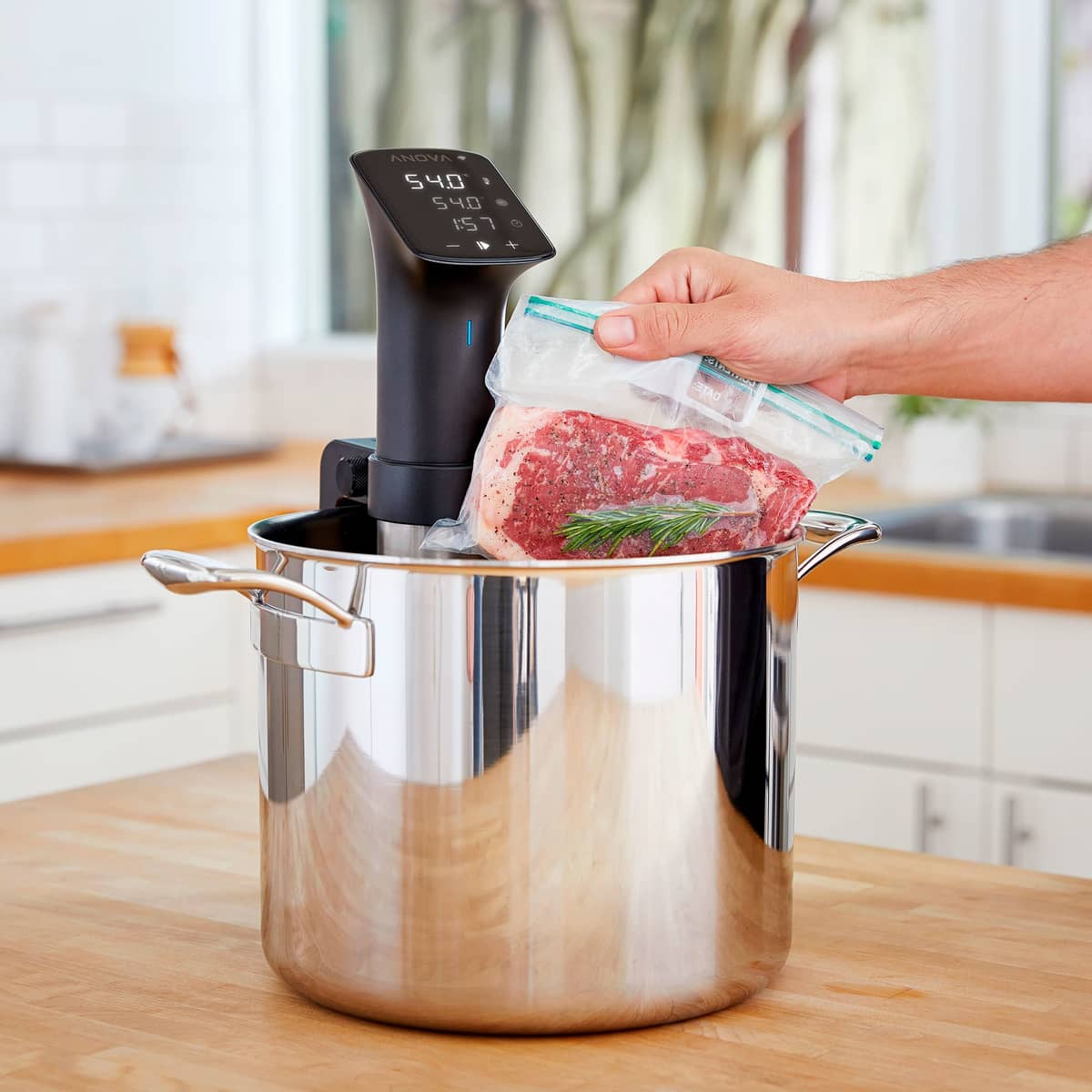 Precision Cooker Pro Sous Vide