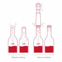 Wine Saver Loop vinpumpe, graphite
