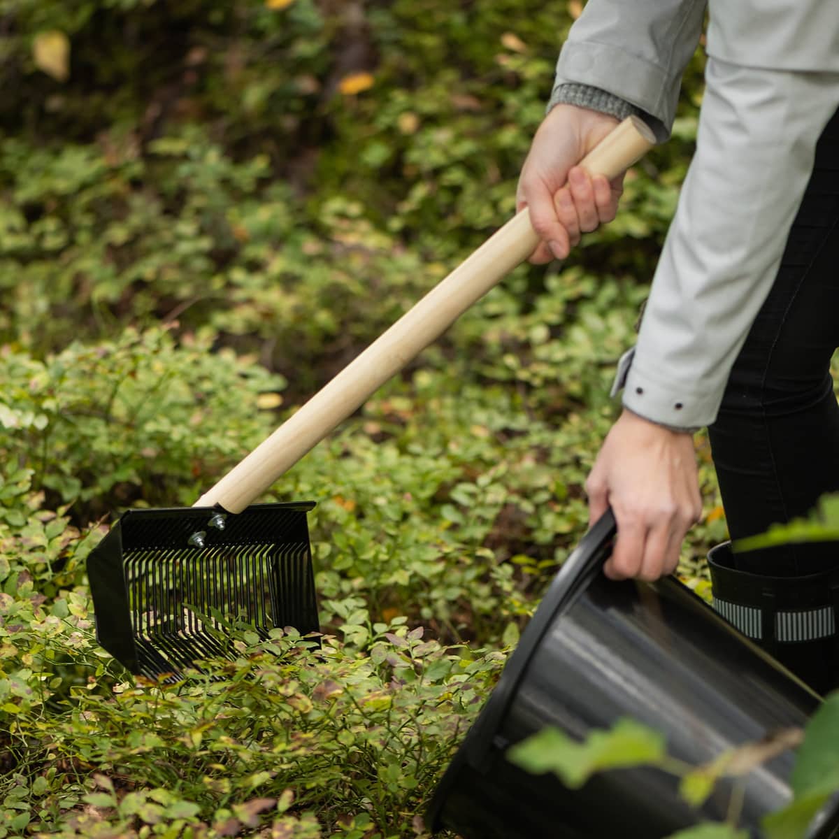 Pro Harvester bærrive