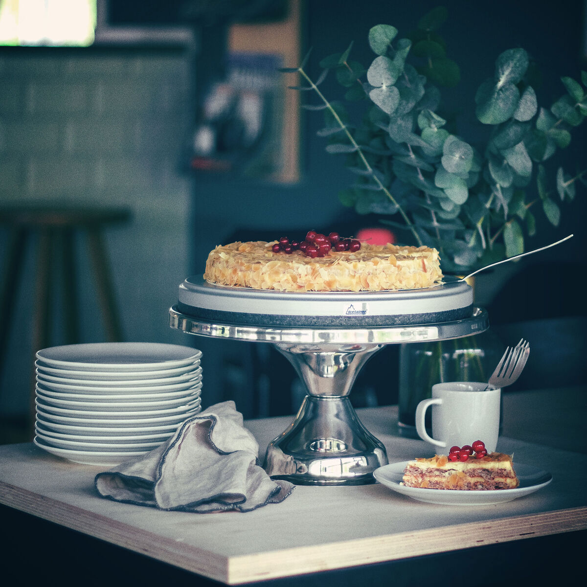 Icetainer Kakefat til kjølebrikke 30 cm, rund