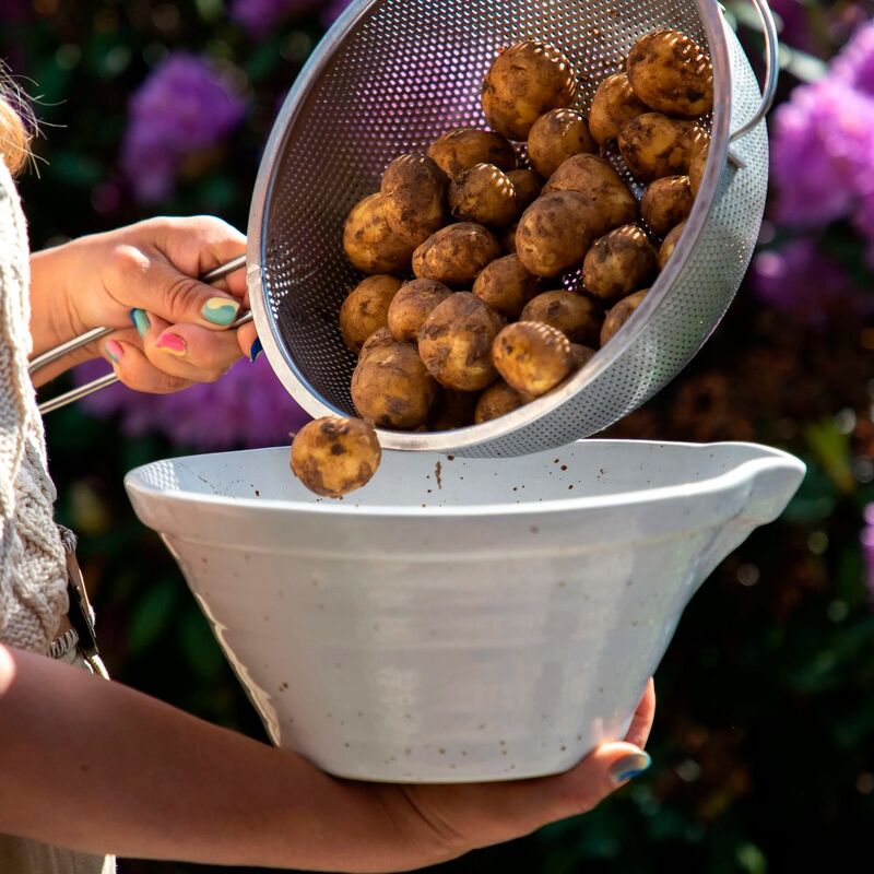 Peep Deigskål 20 cm Cotton White