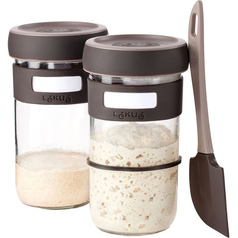 Startkit till surdeg