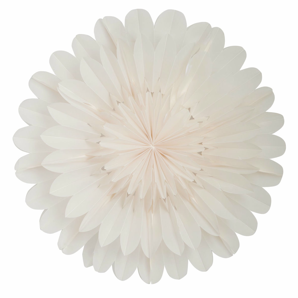 Lotus julstjärna 60 cm, valkoinen