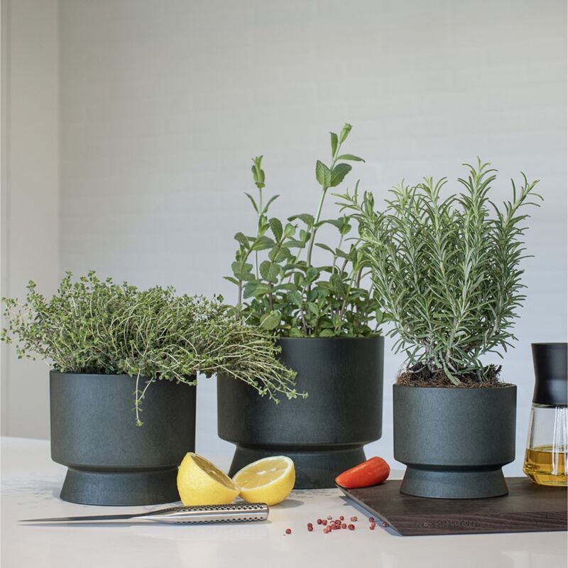 Blomkruka 19 cm. mörkgrön