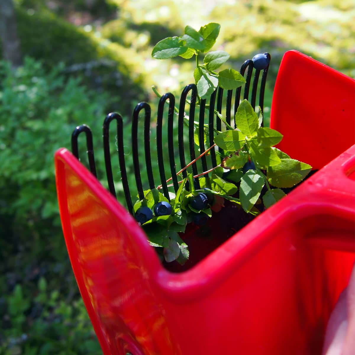 Basic bærplukker med plastgitter