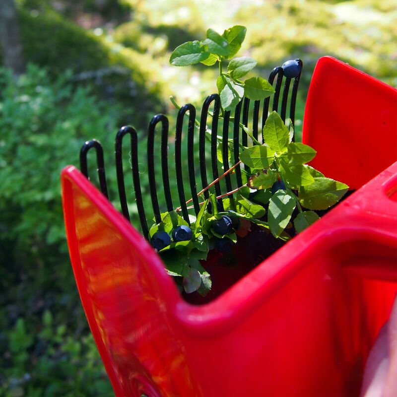 Basic bärplockare med plastgaller