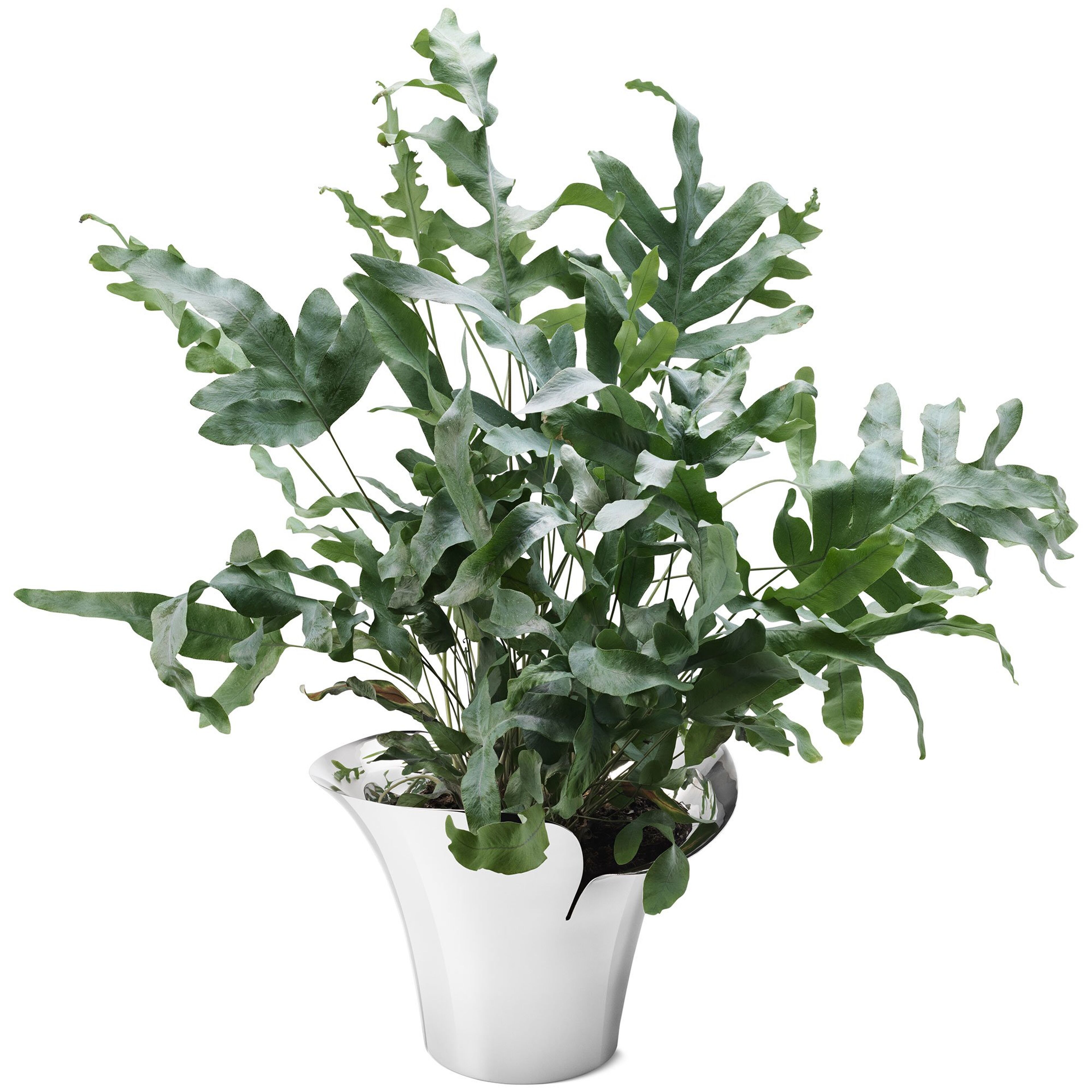 georg-jensen-bloom-botanica-urtepotte-staal-10019581-52679-2