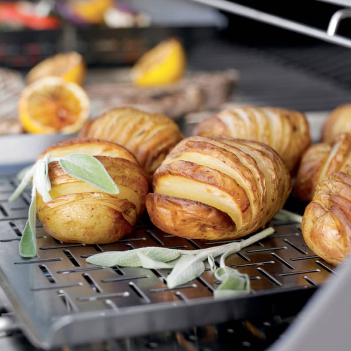 Style Grillform til fisk