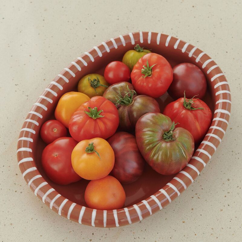 oval tallrik large, randig