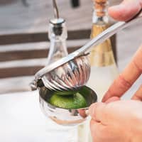 Citruspress, rostfritt stål