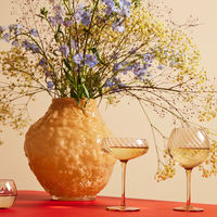 Opacity vinglass 47 cl 2-pakning, fersken