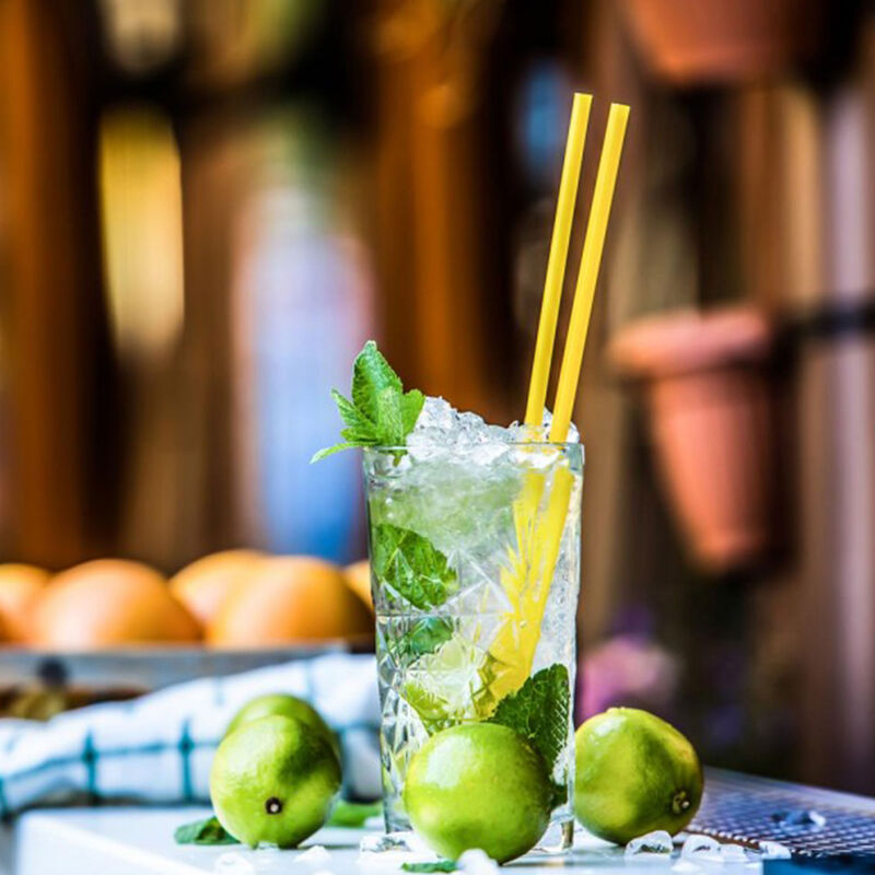 Gastroback Jäämurskain