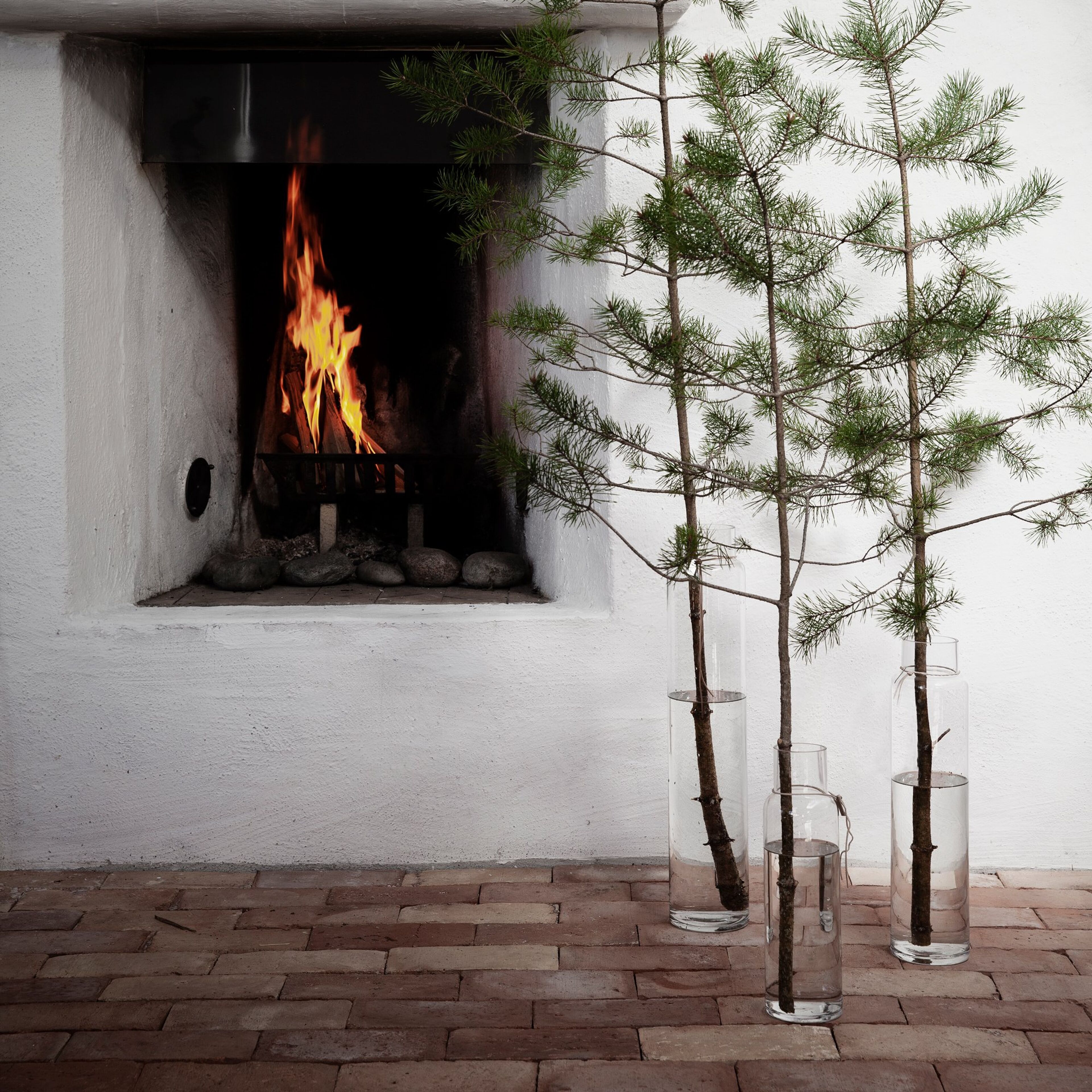 ernst-364335-55657-2