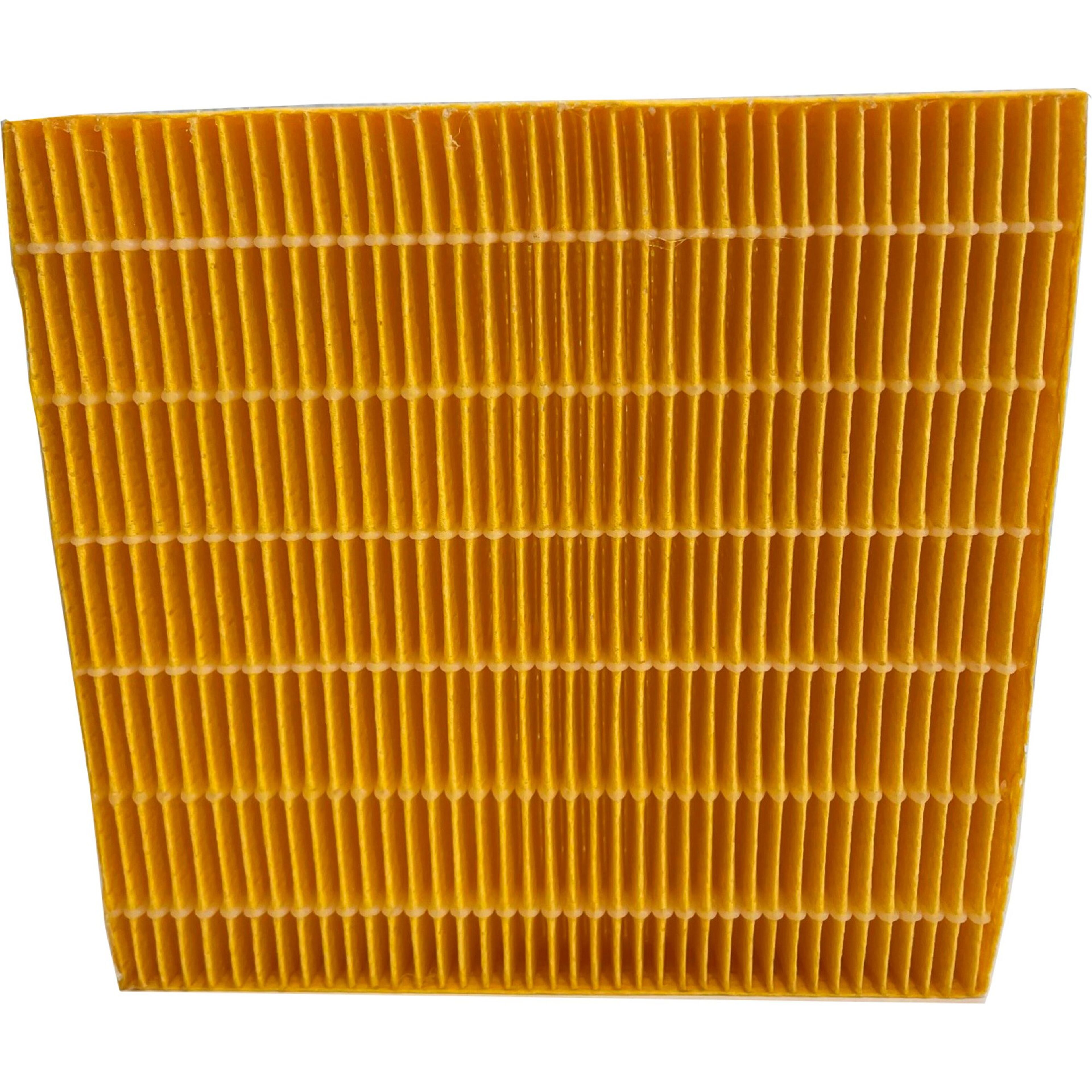 Vattenfilter till DryAged Master 4 st