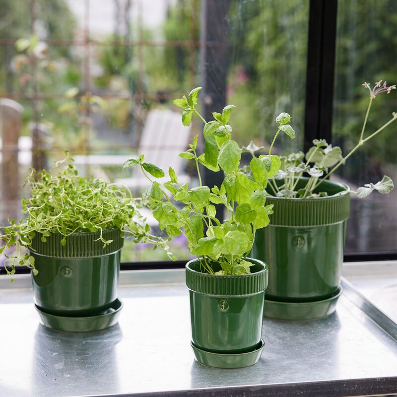 Elise örtkruka 11 cm, grön