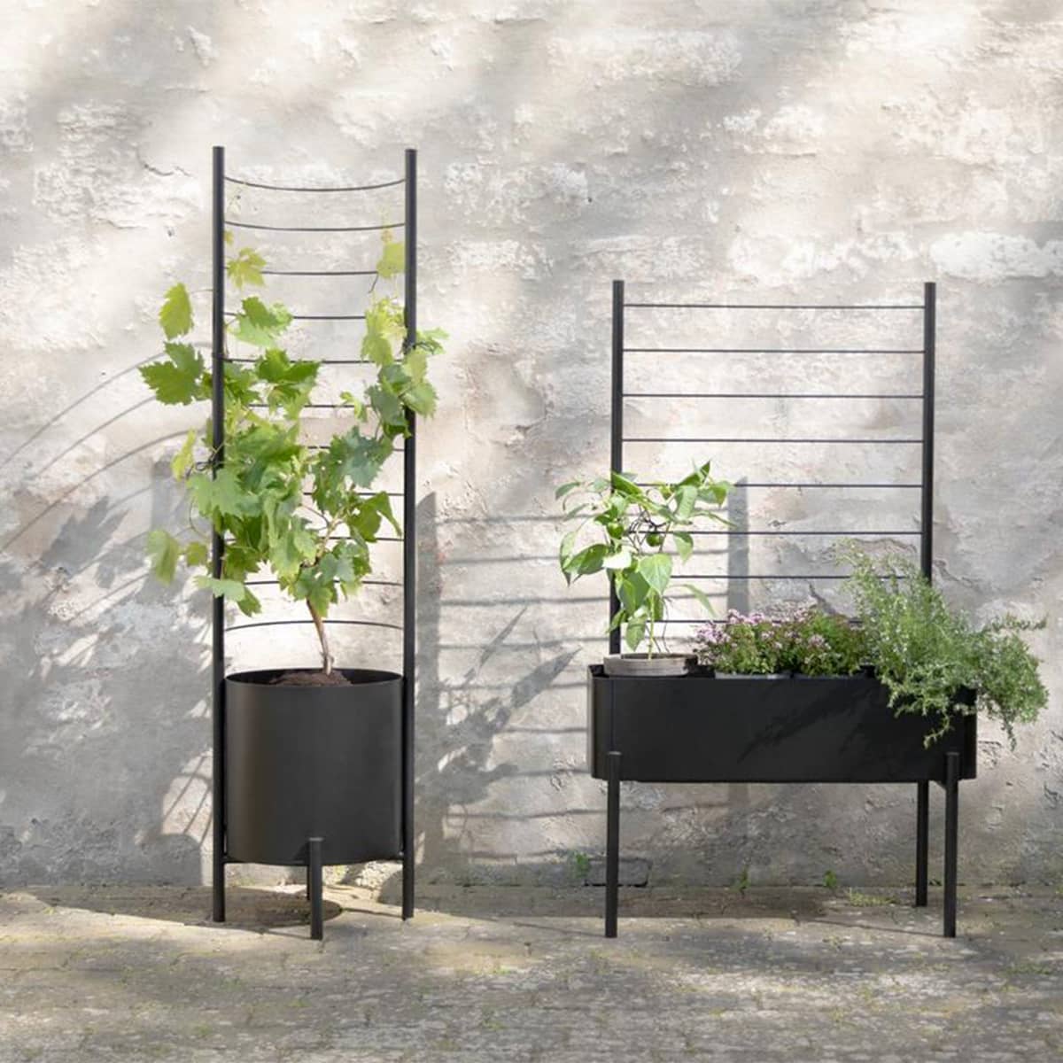 Eva Solo Simply Grow säleikkö ulkoruukkuun