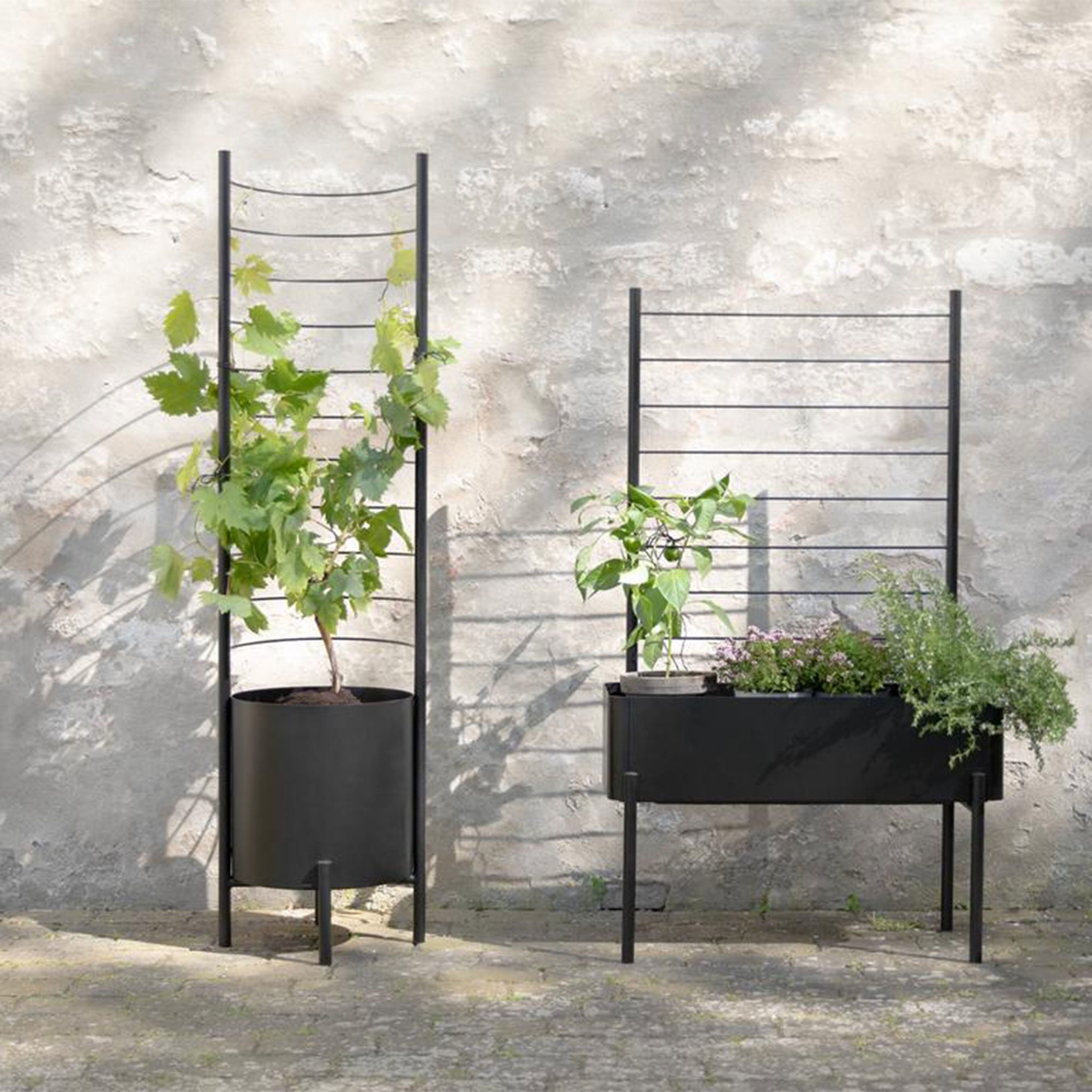 eva-solo-simply-grow-espalier-til-stor-yderkrukke-741010018-67121-3