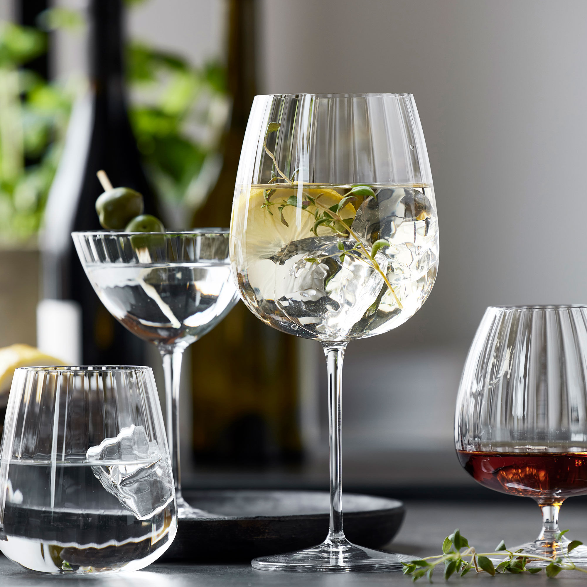 Optica Burgundy -ginilasi 4-pack