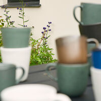 Mugg Dobbelvegg 25 cl Northern Green