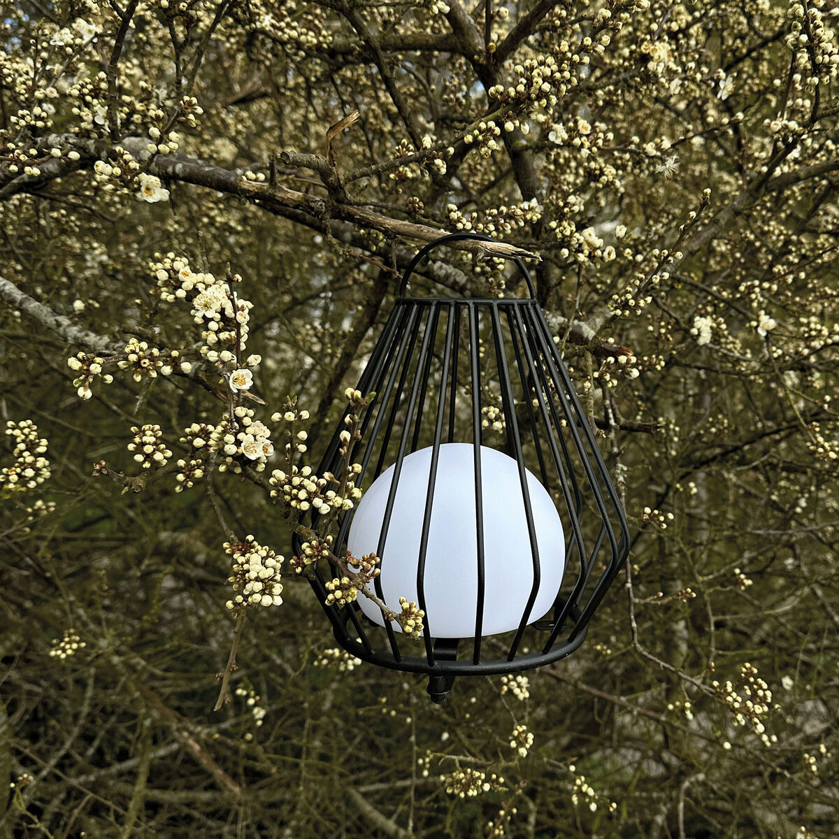 Dyberg Larsen Evesham utomhuslykta i svart, small