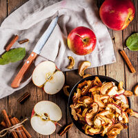 Design Mini Professional dehydrator