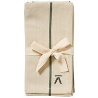 Lautasliinat 45 × 45 cm 2 kpl, vihreä