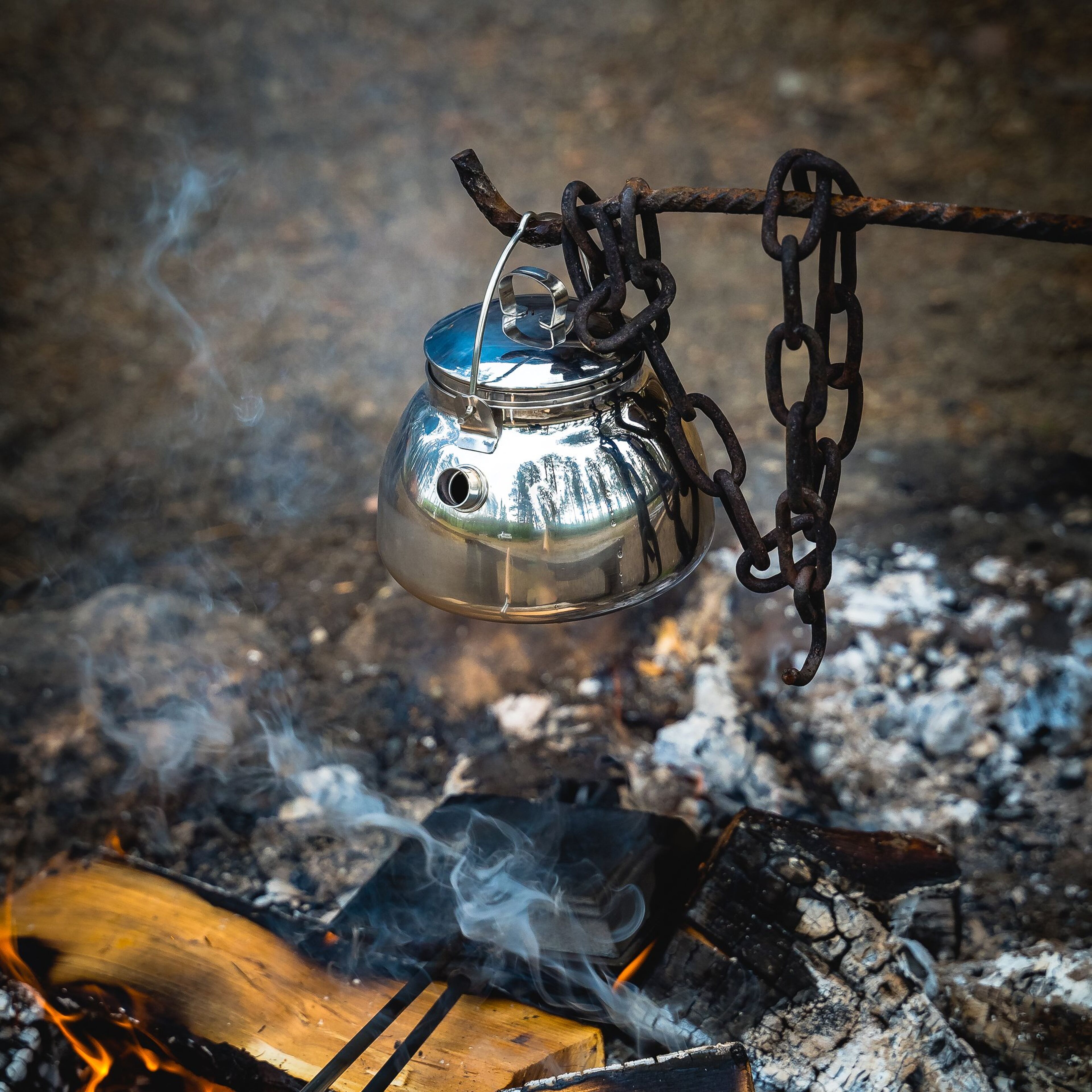 muurikka-saet-til-baal-54520070-49034-2