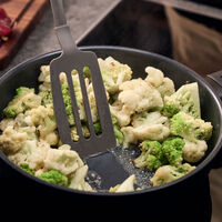 Madura Plus stekepanne 20 cm, aluminium