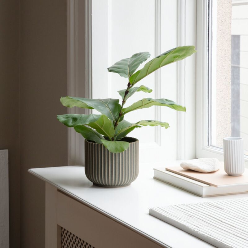 Ruukku medium, oliivinvihreä