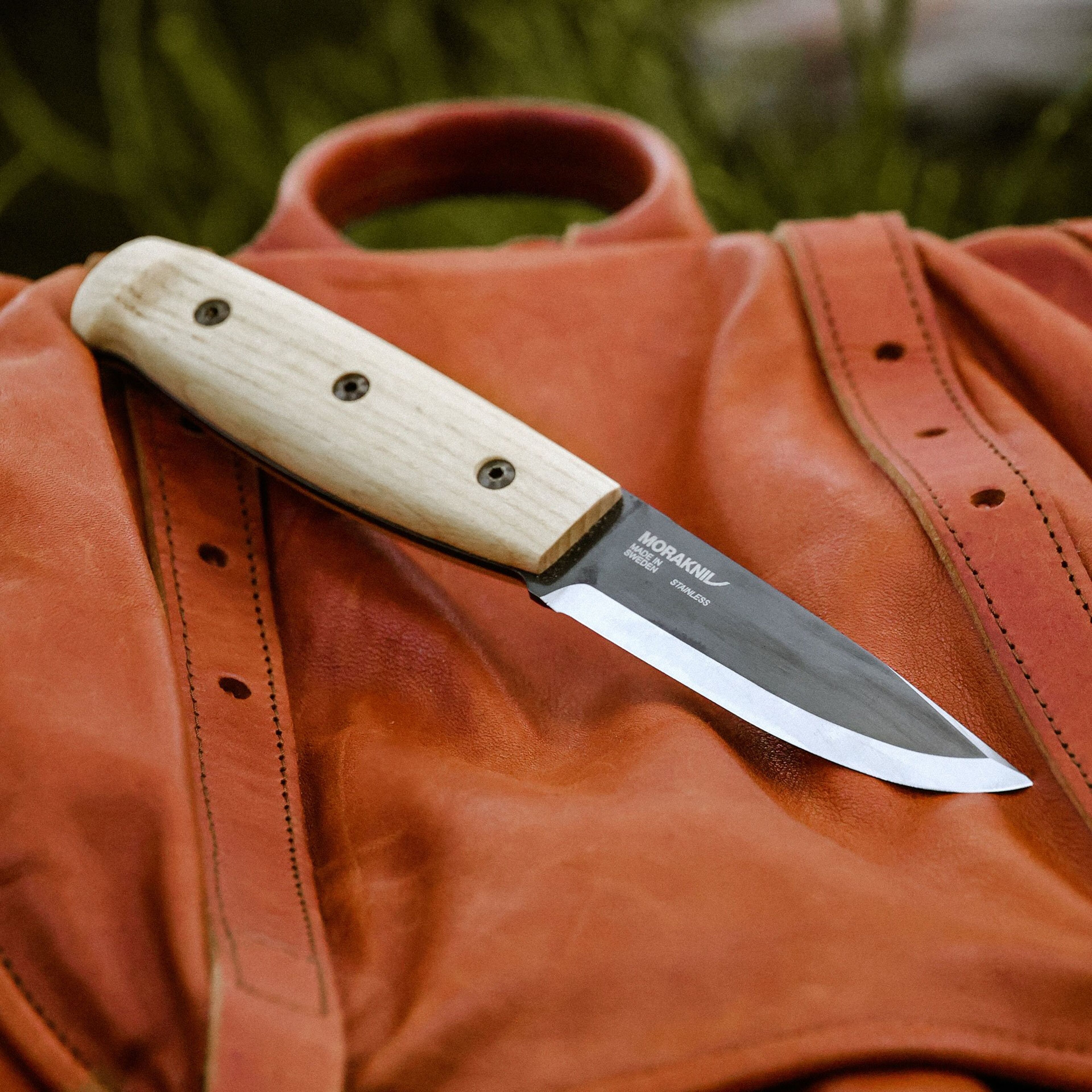 morakniv-wit-blackblade-s-ash-wood-friluftskniv-14084-56669-7