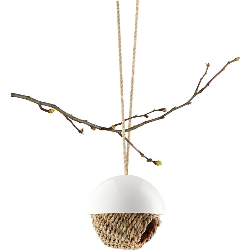 Linnunpesä I Posliinia ja pajua