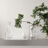 Old Fashioned Glas 25 cl