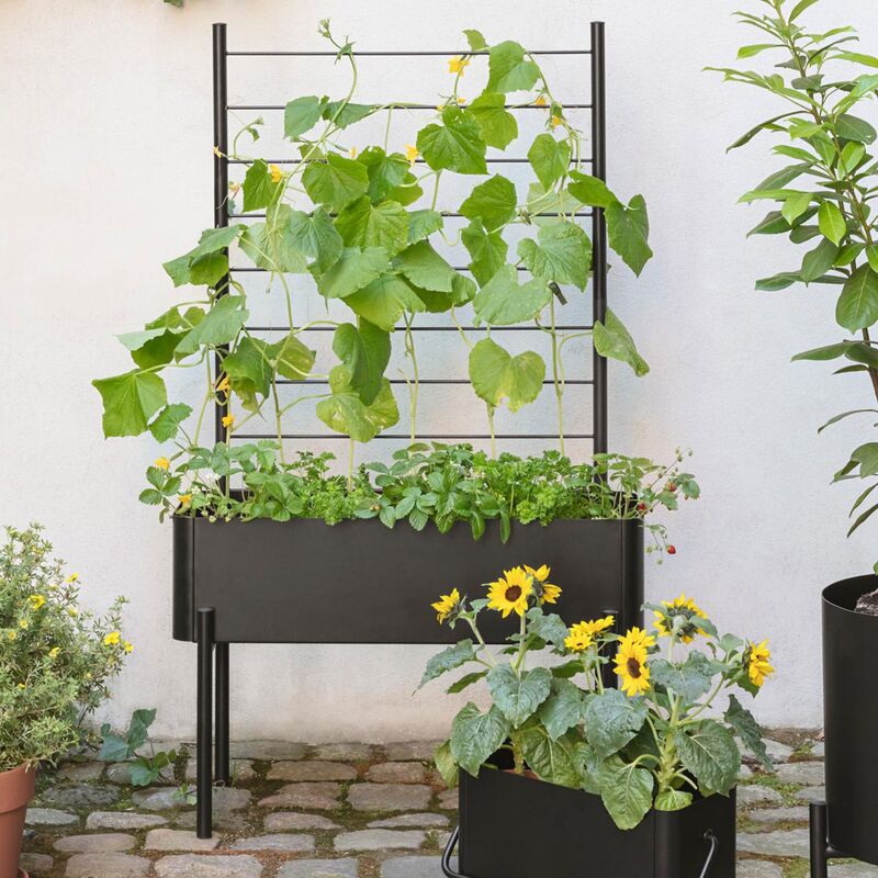 Simply Grow espalier til plantekasse